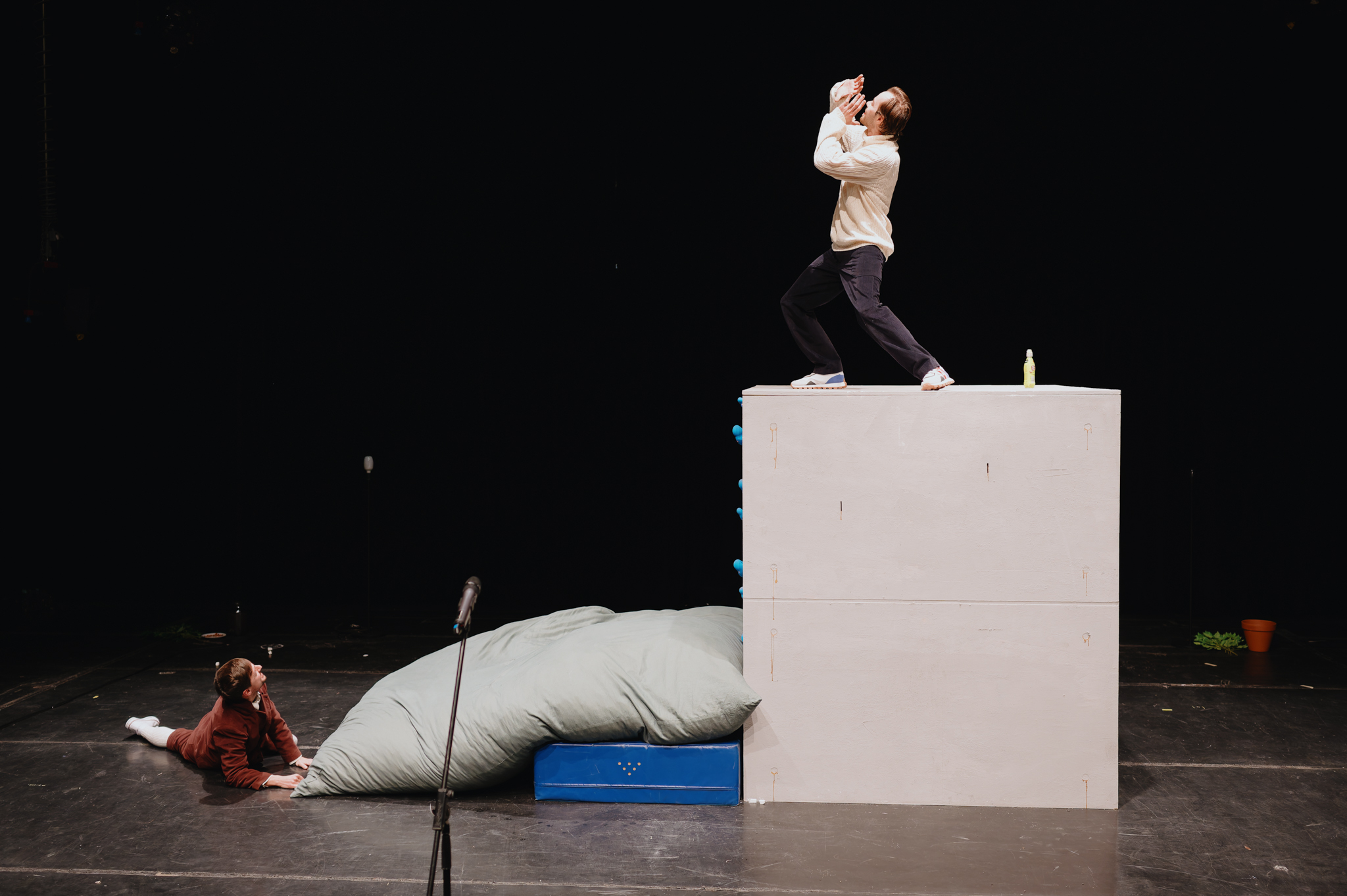 NZ6 9432 20241218 DxO DeepPRIME XD2s